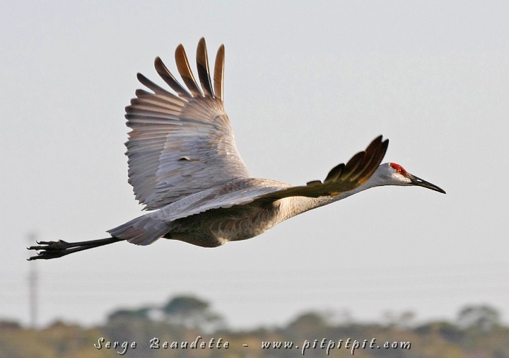 2009-01-04 16-17-30__MG_9900.JPG